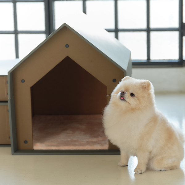 Premium 스타쥬디 오각 강아지 하우스